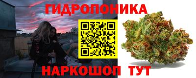 гидропоника Заводоуковск