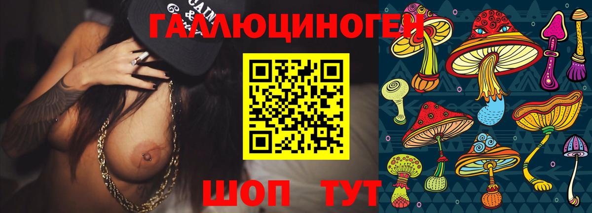 Люберцы  Псилоцибиновые грибы Cubensis  Вход с VPN 